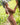 Naked person with silver hair leaning against a tree in a grassy field