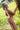 Naked person with silver hair leaning against a tree in a grassy field