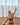 158cm Victoria Gymnast C-Cup
