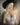 A realistic sex doll named Toriy, depicted wearing a white floral top and blue shorts, with long blonde hair styled with a black hat.