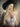 A realistic sex doll named Toriy, depicted wearing a white floral top and blue shorts, with long blonde hair styled with a black hat.