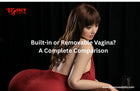 Built-in or Removable Vagina? A Complete Comparison