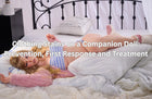 Clothing Stains on a Companion Doll: Prevention, First Response and Treatment