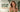 Vote on Future Products: Help Shape the Next Generation of Companion Dolls with the HoneySexDolls Community