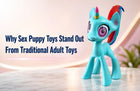 Why Sex Puppy Toys Stand Out From Traditional Adult Toys