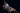 Fireflydoll