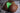 Lovenestle® 38.8LB Realistic Silicone Big Ass Sex Doll with Bubble Butt – Rosie Coco (EU ONLY)