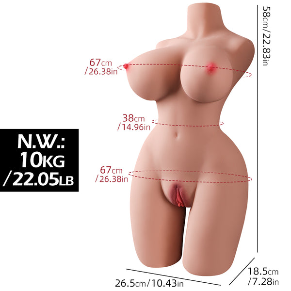 New Zealand Clearance Sex Doll Torso – Cheapest Premium Silicone Doll (Free Shipping)