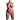 Naked female torso on a white background