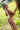 Naked person with silver hair leaning against a tree in a grassy field