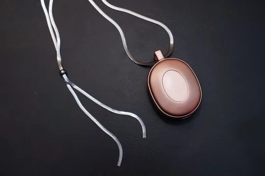 Honeysexdoll® Sex Doll Smart Conversation Voice Box -Ai Box