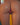 Partial view of a person's buttocks with a blurred background