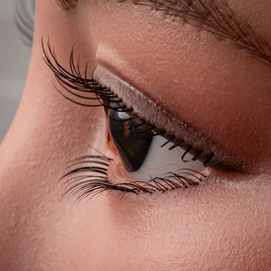 Implanted Eyelashes