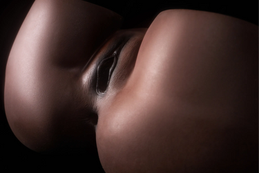 Climax Doll® RS-6 Cocoa Premium Silicone Butt Torso Model
