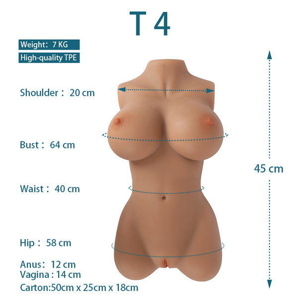 Sex Torso Medium SKin tone T4