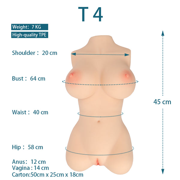 Sex Torso half body T4