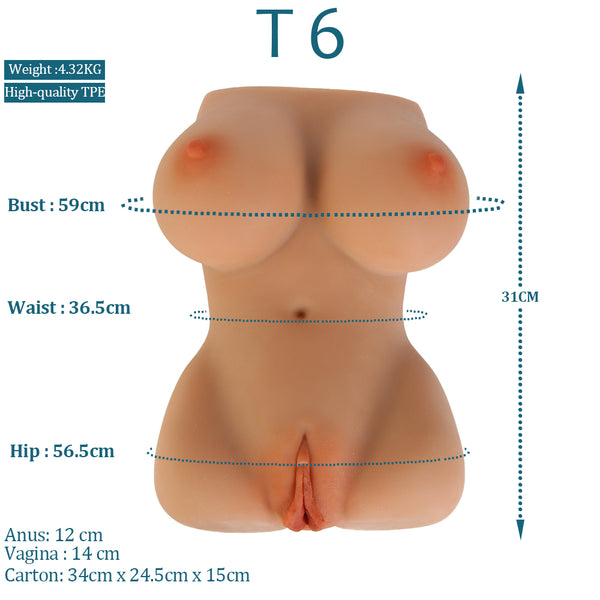 Sex Torso Medium Skin color T6