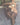 152cm Medium Cassie